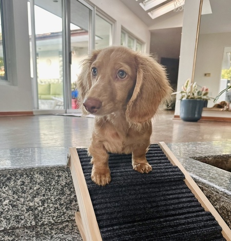 Charlie