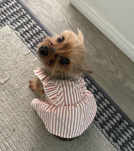 Zoey 