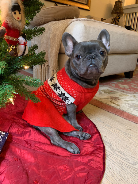 Lola