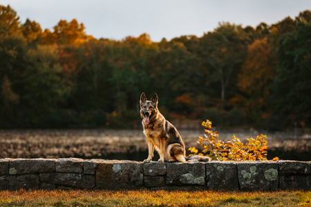 Kona