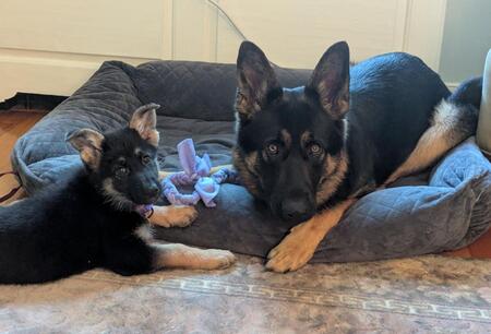 Gwyn and Risa