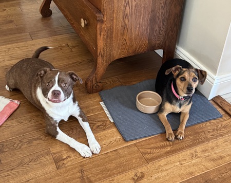 Larry and Roxie