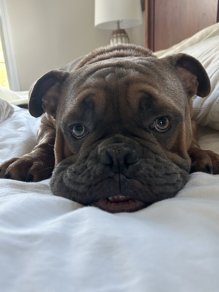 Max