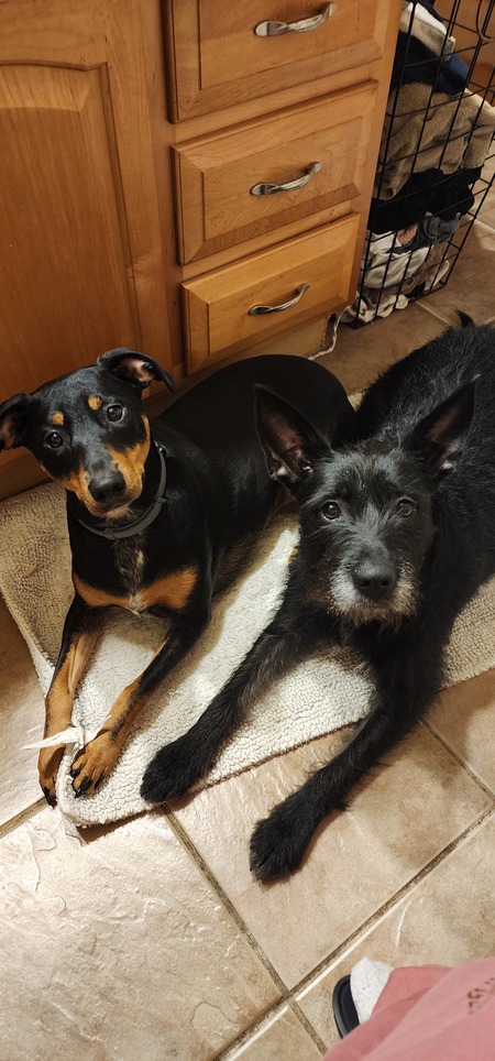 Brooklyn Benatar and Nova Jett