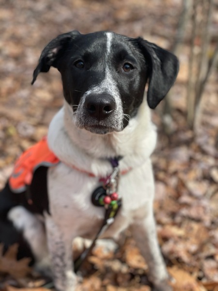 Ella