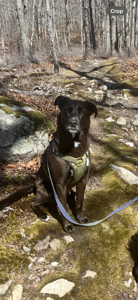 Rita
