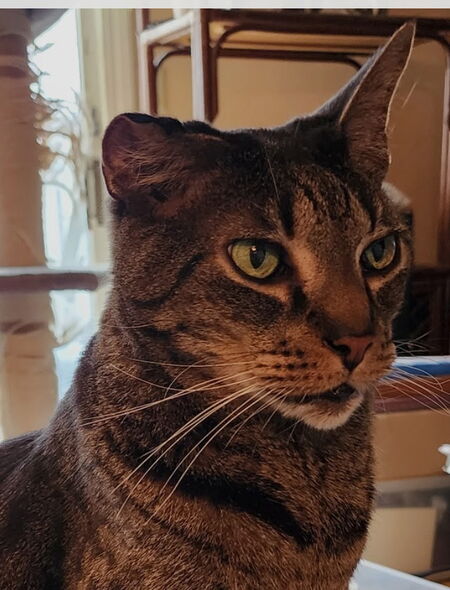 Henri