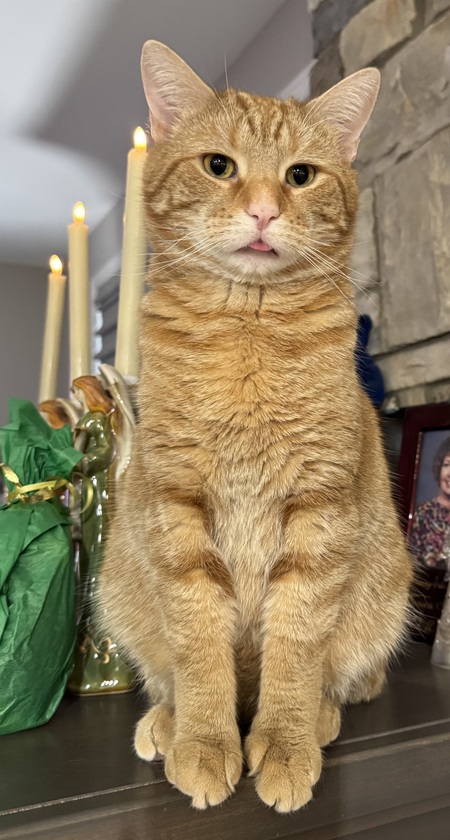 Butters