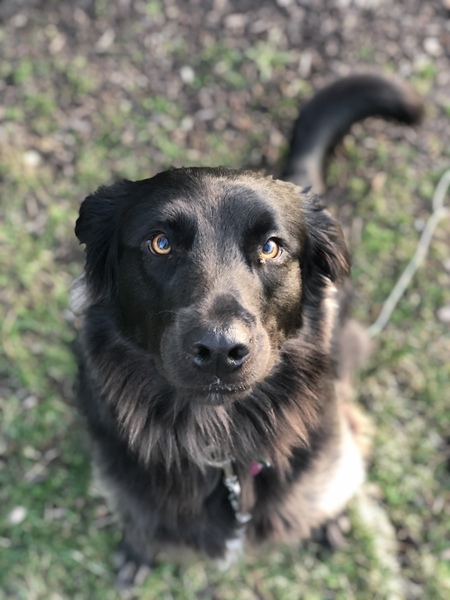 Indy