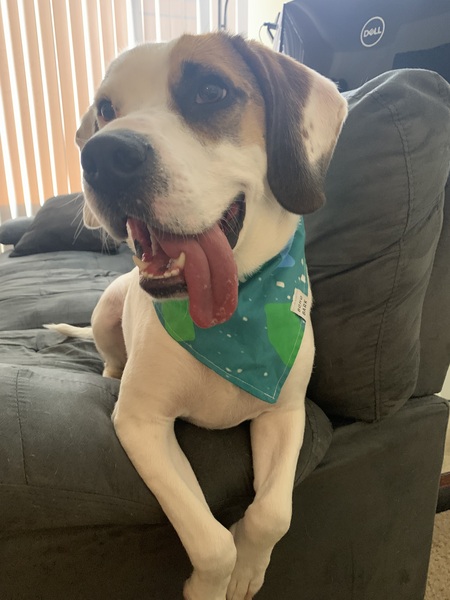 Buster Brown