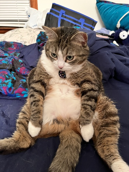 Mittens