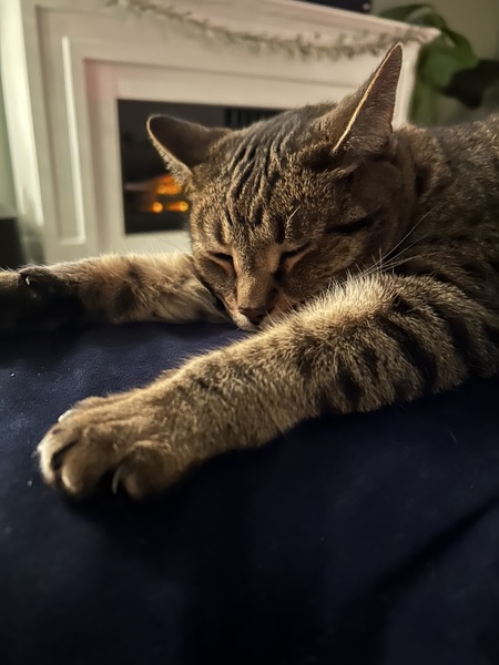 Pepper