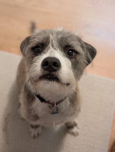 Bailey