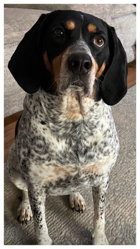 Maggie 