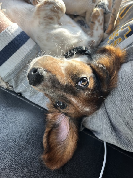 Franklin