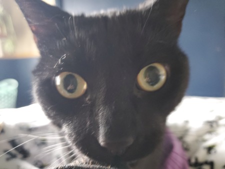 Murphy 