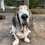 Entry image for Emma Jean Hotaling