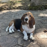 Entry image for Ellie Mae Hotaling