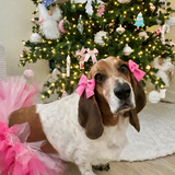 Entry image for Daisy Mae 