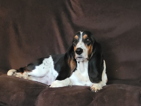 Molly