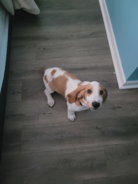 Frank 