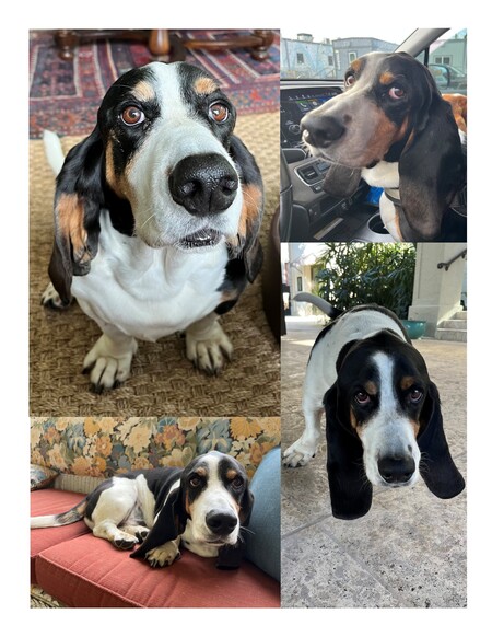 Tobie