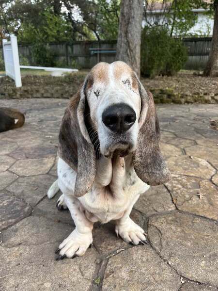 Entry image for Emma Jean Hotaling. Clicking this image will show a larger photo