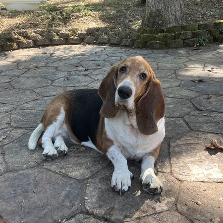 Entry image for Ellie Mae Hotaling. Clicking this image will show a larger photo