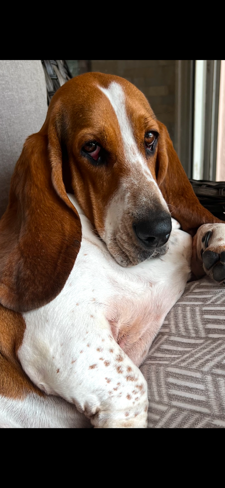 Entry image for Sunni. Clicking this image will show a larger photo