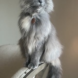 Entry image for Freya