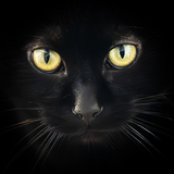 Entry image for Pippin