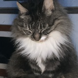 Entry image for Katie 