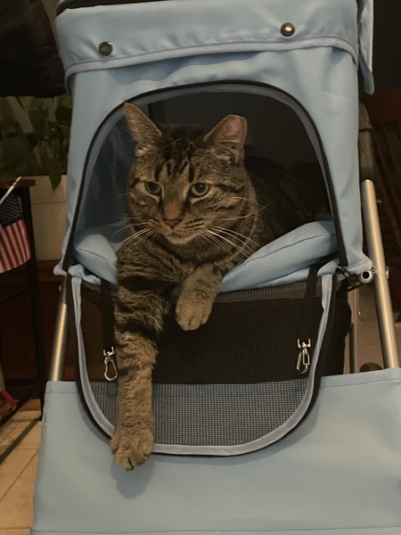 Entry image for Walter. Clicking this image will show a larger photo
