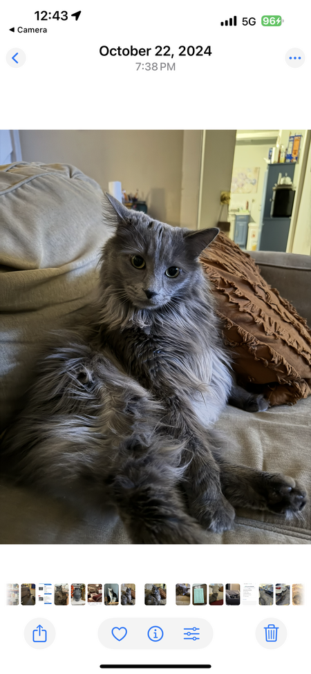 Entry image for Charlie. Clicking this image will show a larger photo