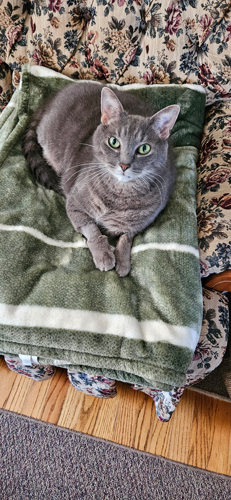 Entry image for Max. Clicking this image will show a larger photo