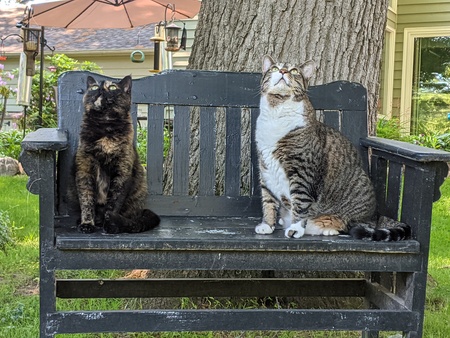 Entry image for Penny and Gnar. Clicking this image will show a larger photo