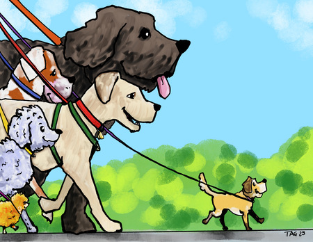 Travel Buddies