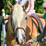 Entry image for Peaches