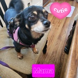 Entry image for Mama