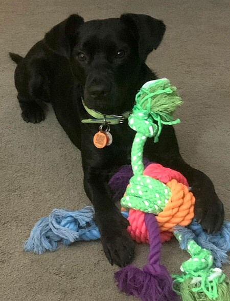 Frankie