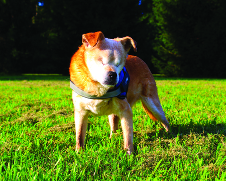 Entry image for Jeter. Clicking this image will show a larger photo