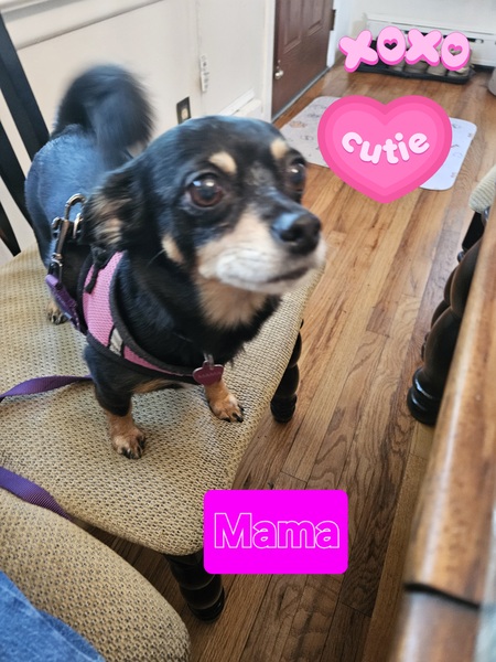 Entry image for Mama. Clicking this image will show a larger photo