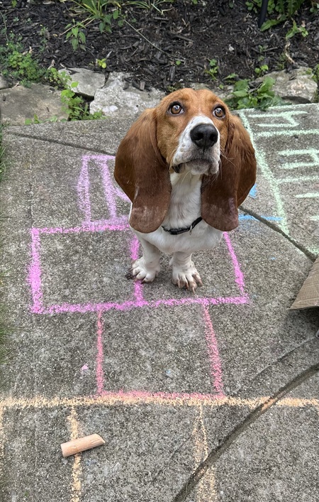 Maggie Mae