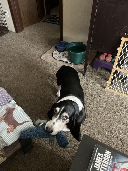 Maggie