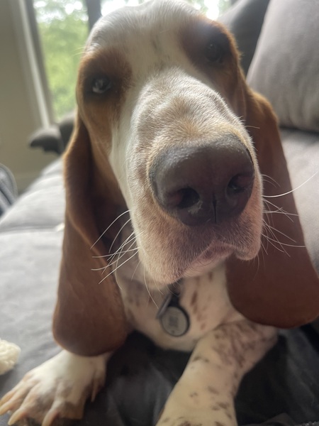 Buster Love