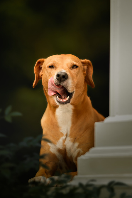 Entry image for Chloe. Clicking this image will show a larger photo