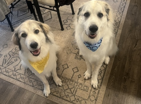 Brady and Carly 