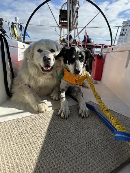 Anakin & Dottie