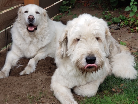 Poppy & Toby