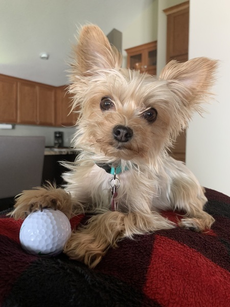 Finley 